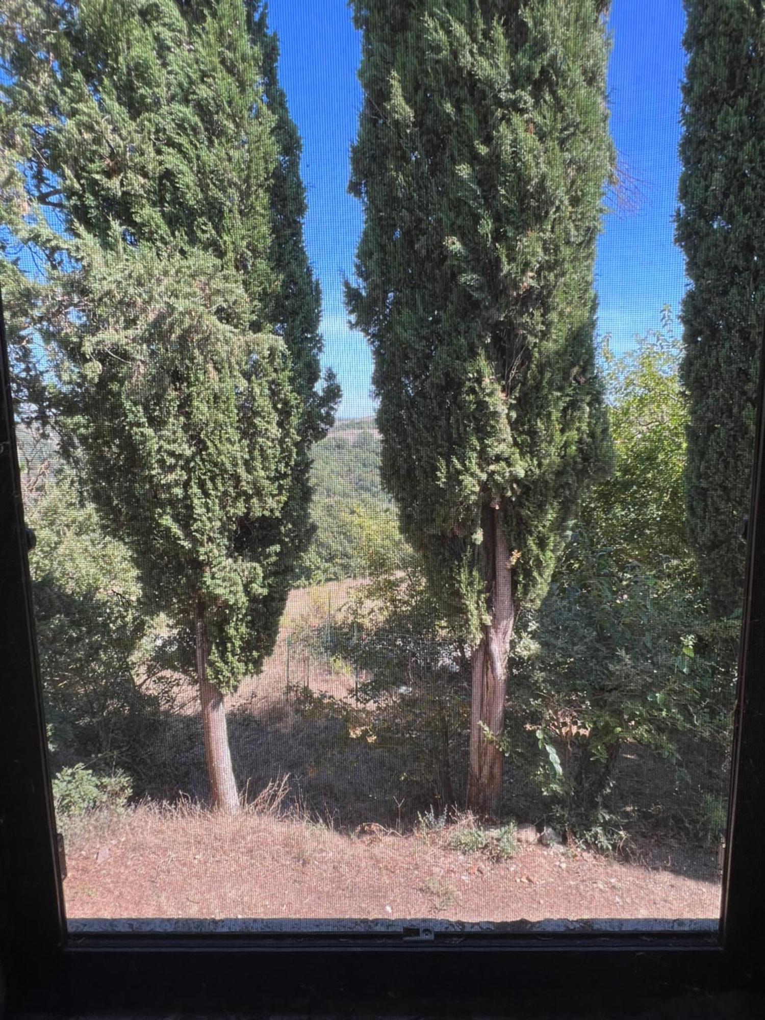 Agriturismo Diffuso Monte Oliveto Maggiore Chiusure Kültér fotó